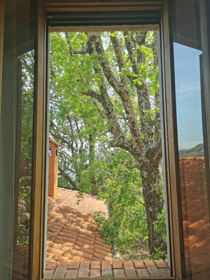 L'Albero Del Cioccolato Bed & Breakfast Пиня Екстериор снимка