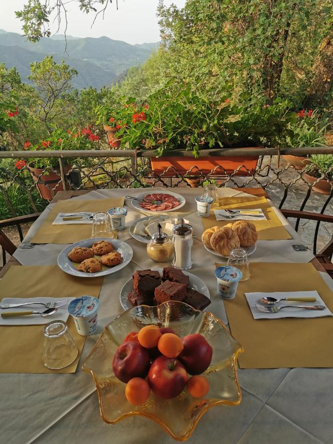 L'Albero Del Cioccolato Bed & Breakfast Пиня Екстериор снимка